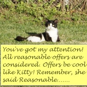 COPY - Accepting reasonable Offers